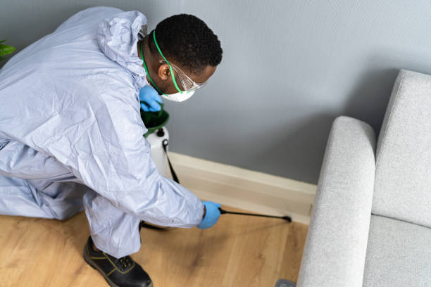 Best Residential Pest Control  in Morris Plains, NJ